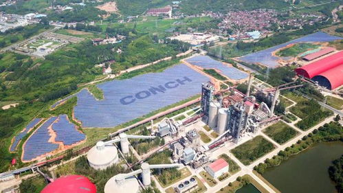 海螺集团改革案例入选国企改革三年行动典型经验