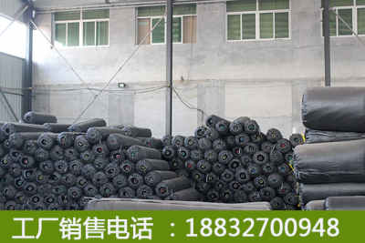 新闻 安徽省人造草坪行业单价 欢迎您