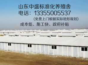 临沂中盛保温建材厂与安徽建材市场今日行情价格走势分析