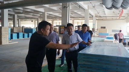 安徽省工商联与建材商会领导莅临林邦门业考察指导，共促安徽建材行业高质量发展